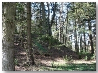 Fragment wału grodziska w Bardach