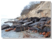 Brzeg - plaża zachodnia