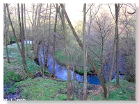Rzeka Gocinka