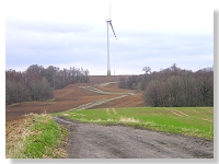 Droga polna pomiędzy Kądzielnem a Stramnicą