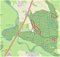 Mapa: Obrowskie sosny