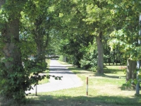 Park im. 3 DP, ścieżka spacerowo - jezdna