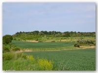 Mirocice - panorama