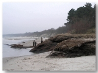 Pokłady torfu na plaży