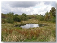 Bagno pod Gr Biaokursk - fragment