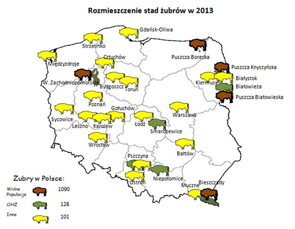 Rozmieszczenie ubra w Polsce