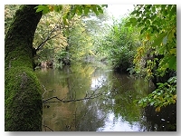 Rzeka Mostowa w okolicy Rzesznikowa