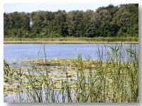 Jezioro Trzynik Duy